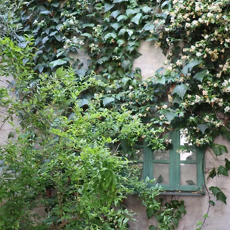 Appartamento Ostria 2 *